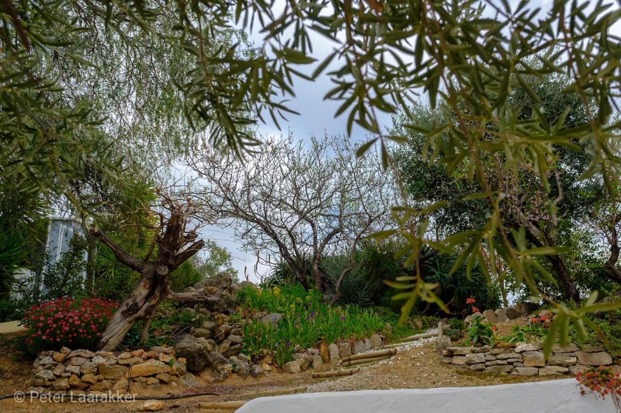 Finca Gordo Риогордо Экстерьер фото