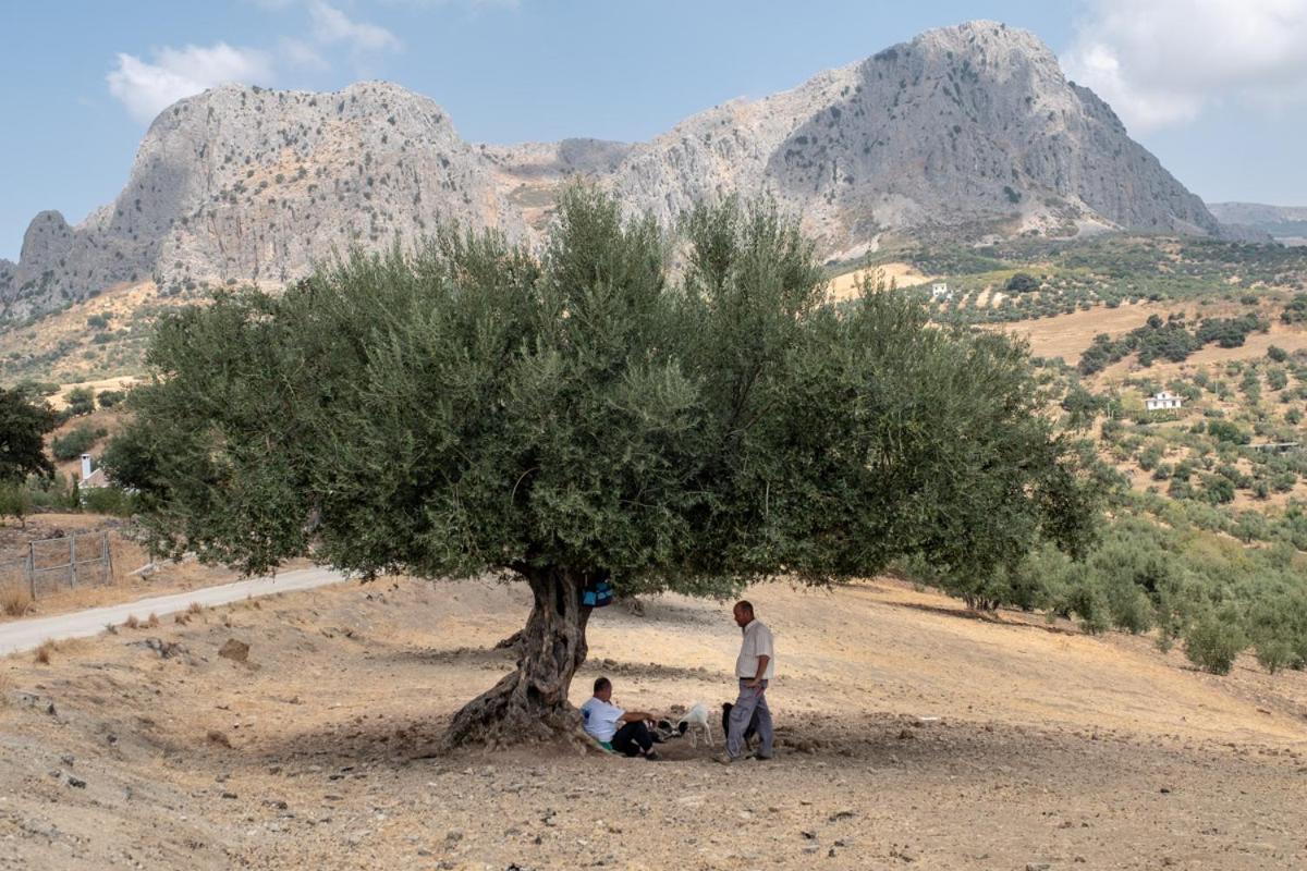 Finca Gordo Риогордо Экстерьер фото